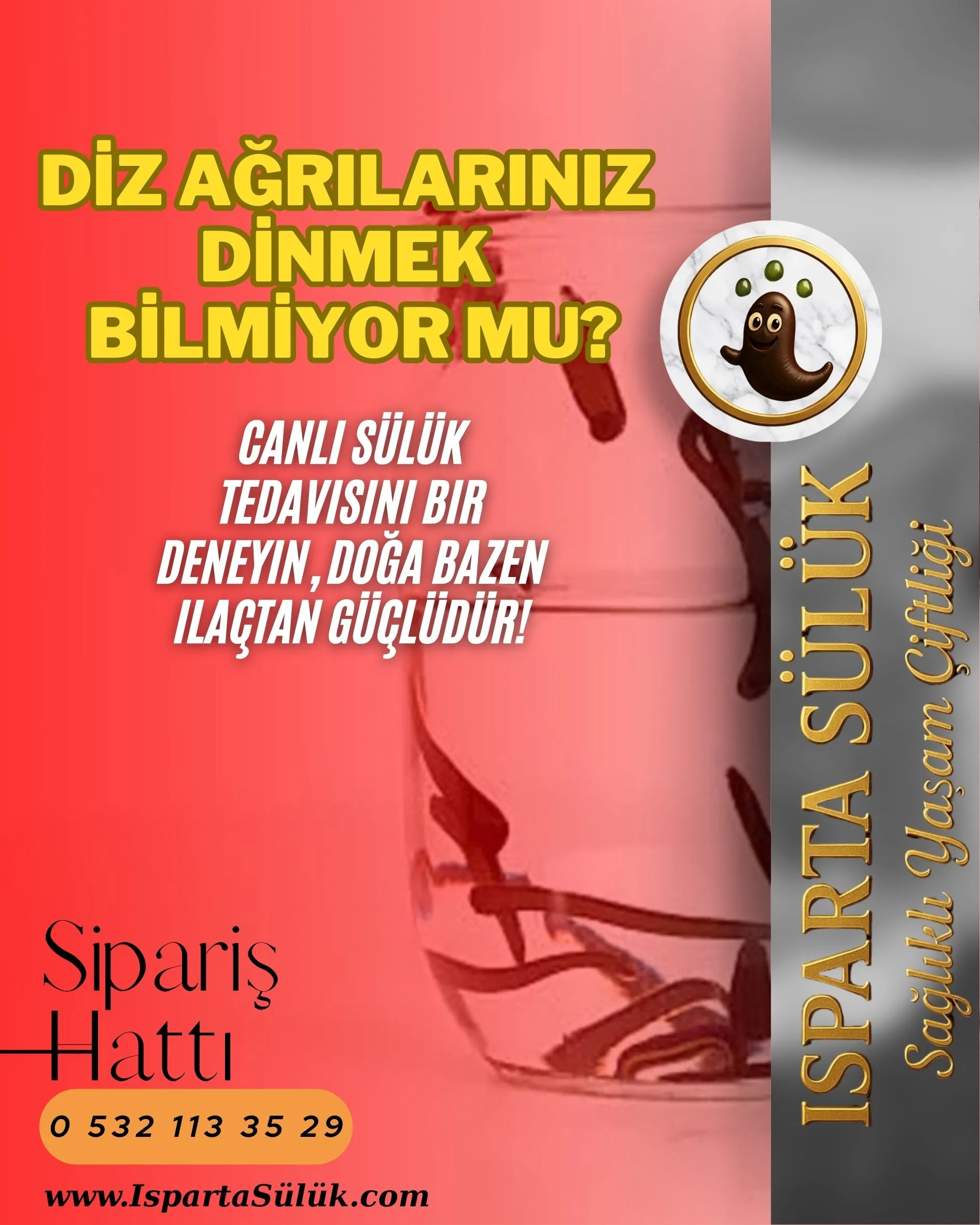 Profesyonel Sosyal Medya Referans 43